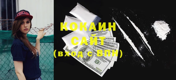 соль ск Вяземский