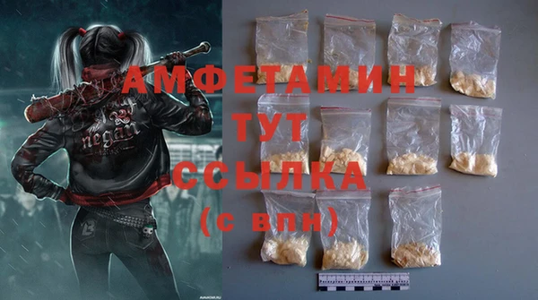 соль ск Вяземский