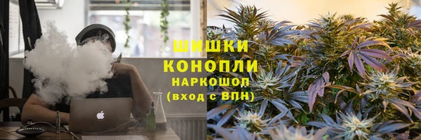 соль ск Вяземский