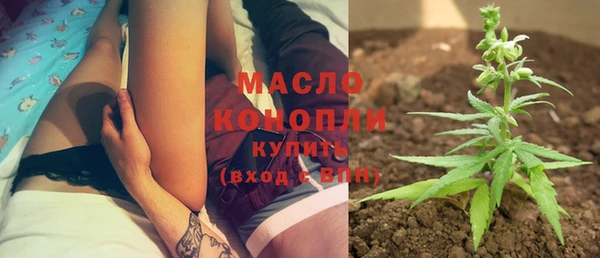 соль ск Вяземский