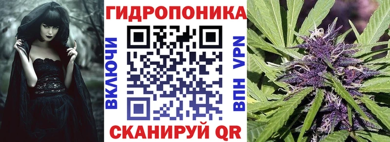 Купить закладки  Борзя  Каннабис VHQ 